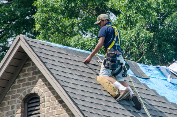 Quick and Trustworthy Emergency Roof Repair Services in Elizabethton, TN